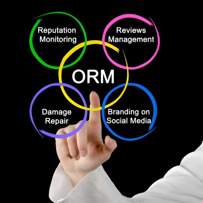 Online Reputation Management (ORM)